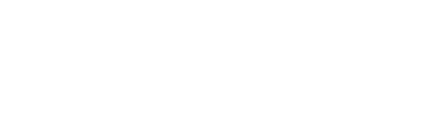 Netgame